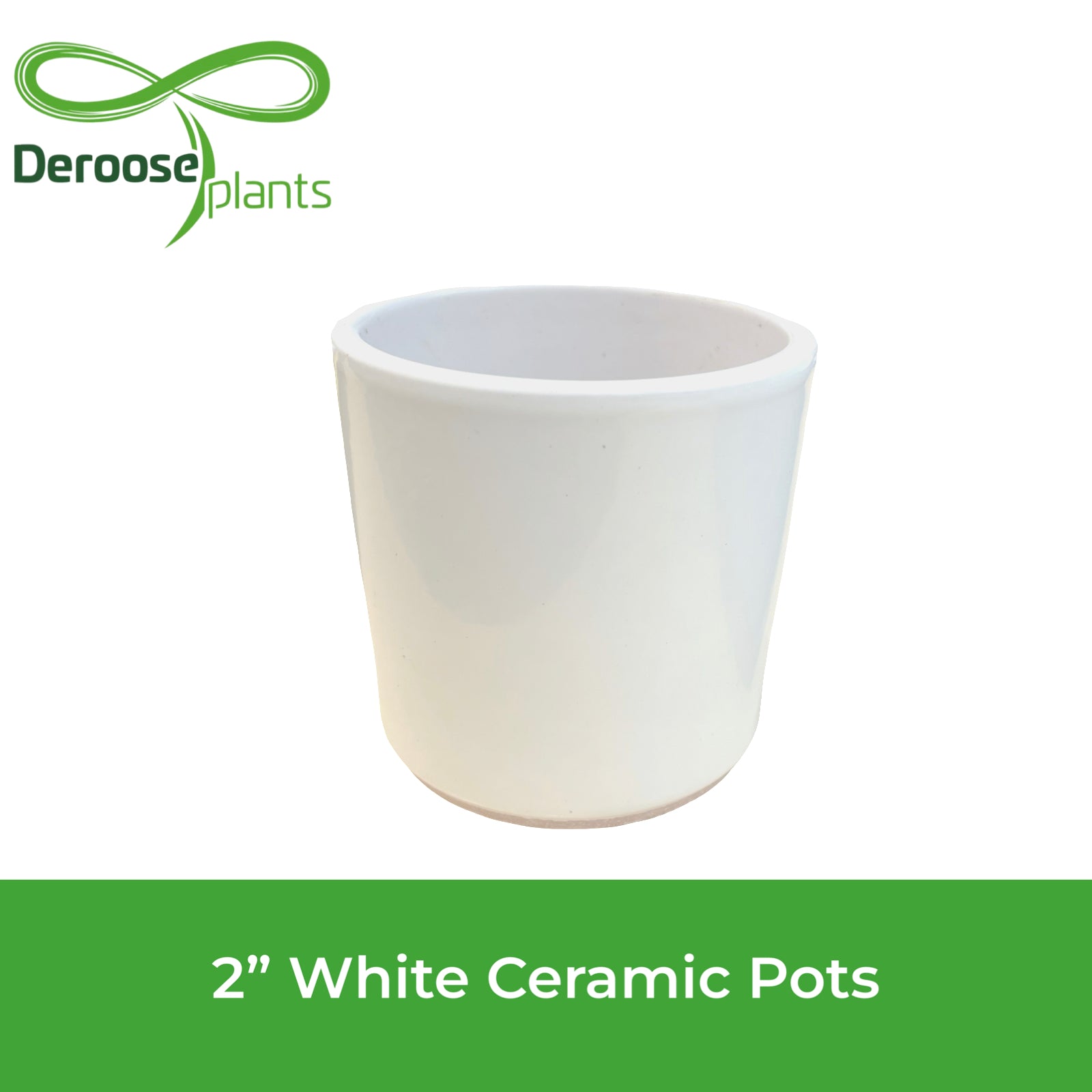 2" White Ceramic Pots