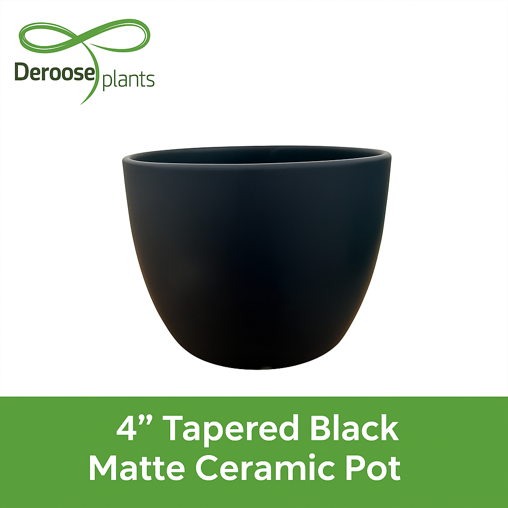 4” Tapered Black Matte Ceramic Pots