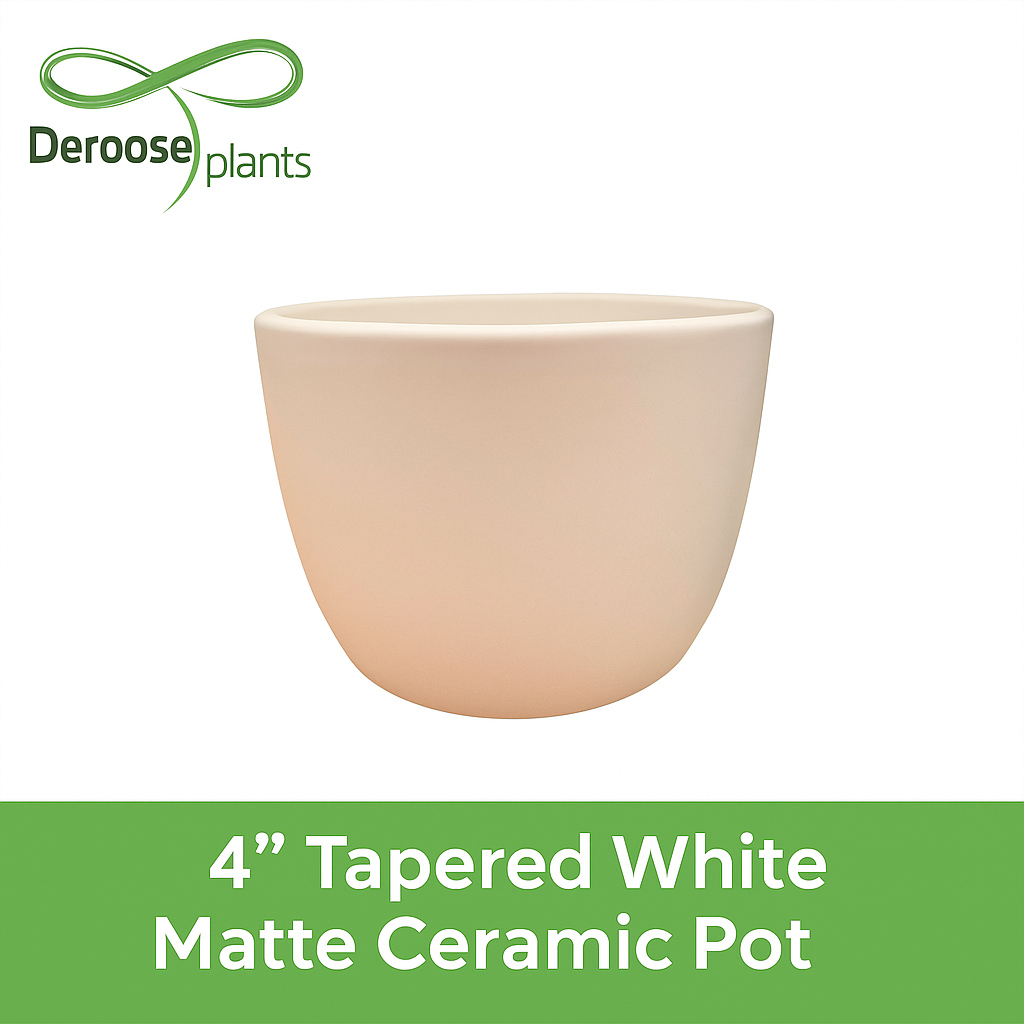 4” Tapered White Matte Ceramic Pots