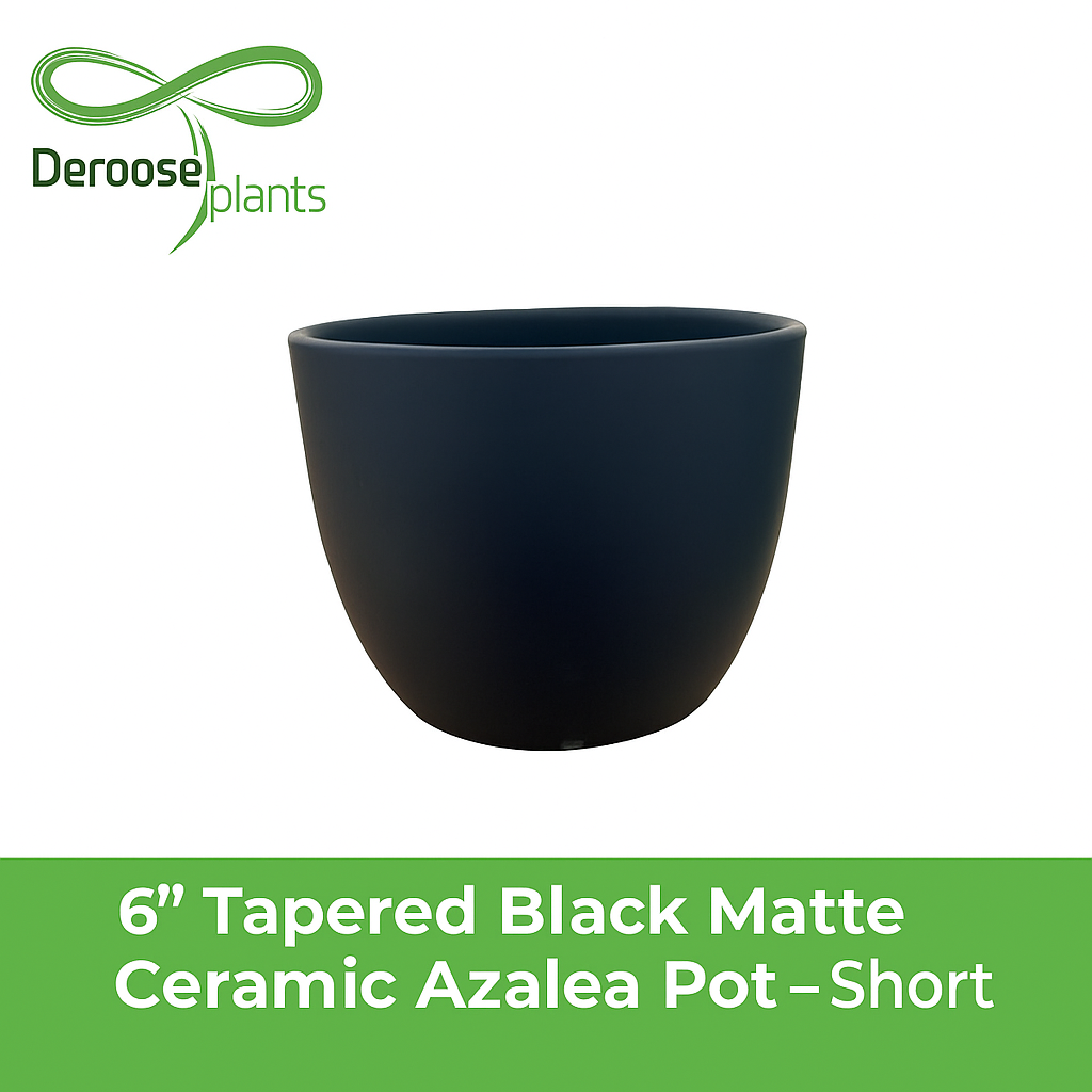 6” Tapered Black Matte Ceramic Azalea Pots – Short