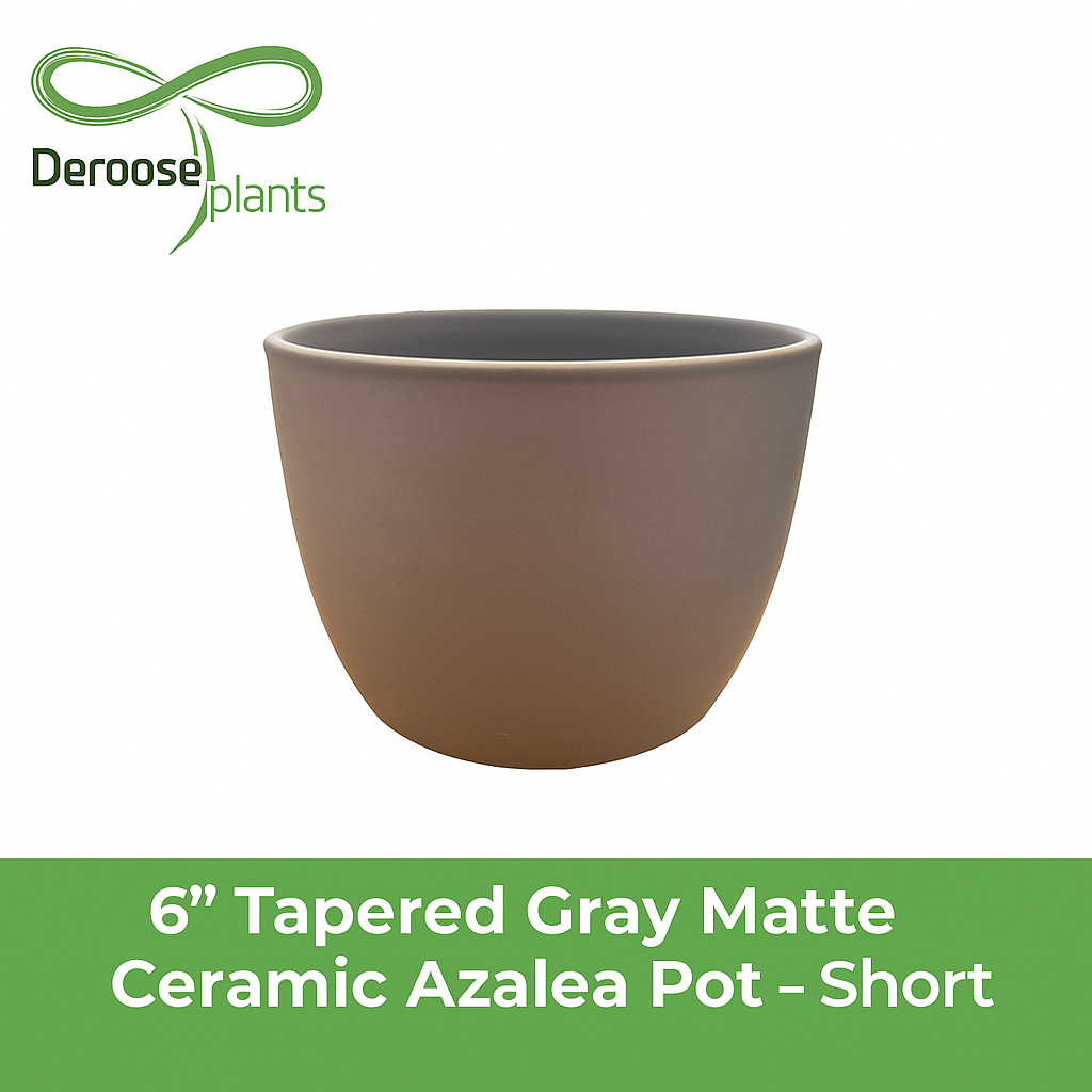 6” Tapered Gray Matte Ceramic Azalea Pots – Short