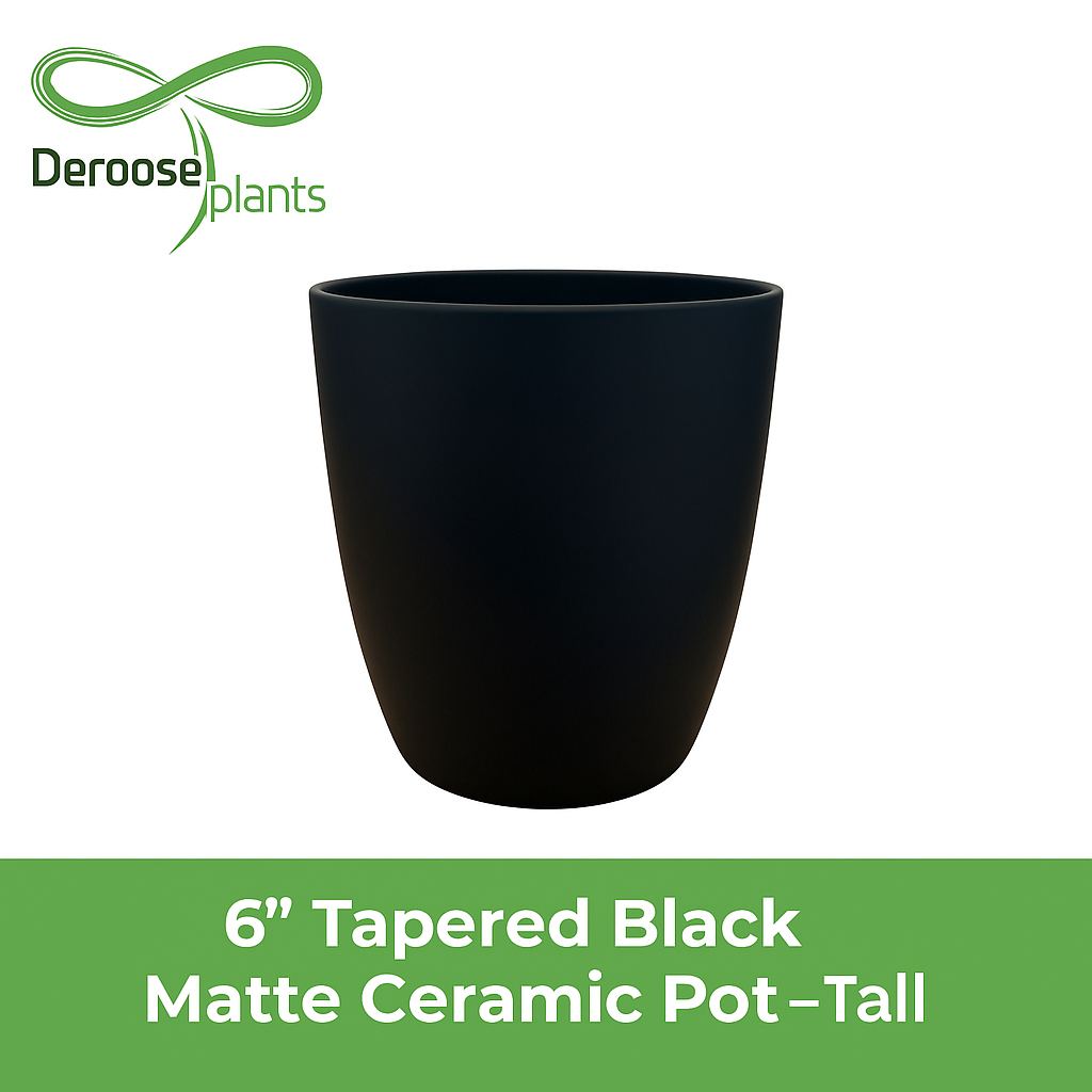 6” Tapered Matte Black Ceramic Pots - (Tall)