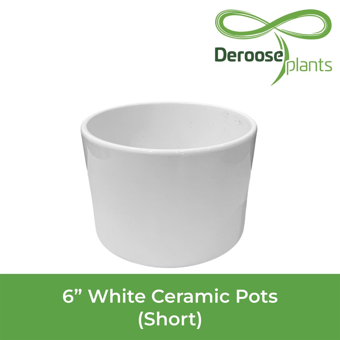 6" White Ceramic Pots Azalea - Short