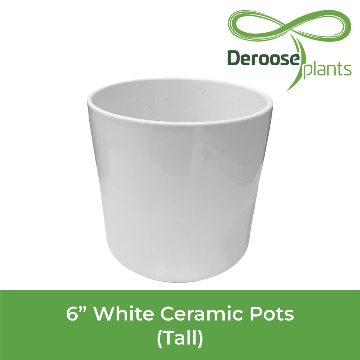 6" White Ceramic Pots Standard - Tall