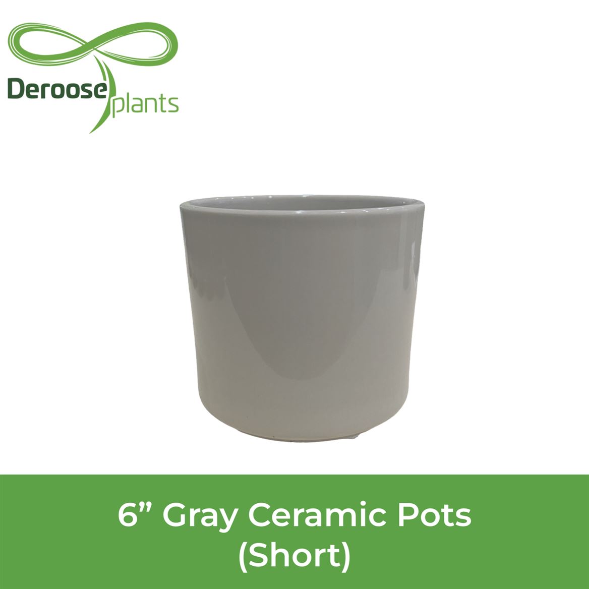 6" Gray Ceramic Pots Azalea - Short