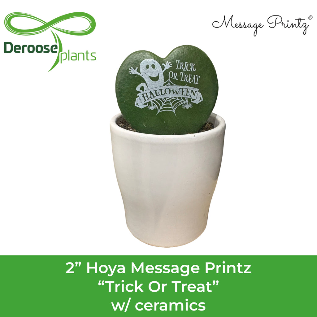 2" Hoya Message Printz Trick Or Treat