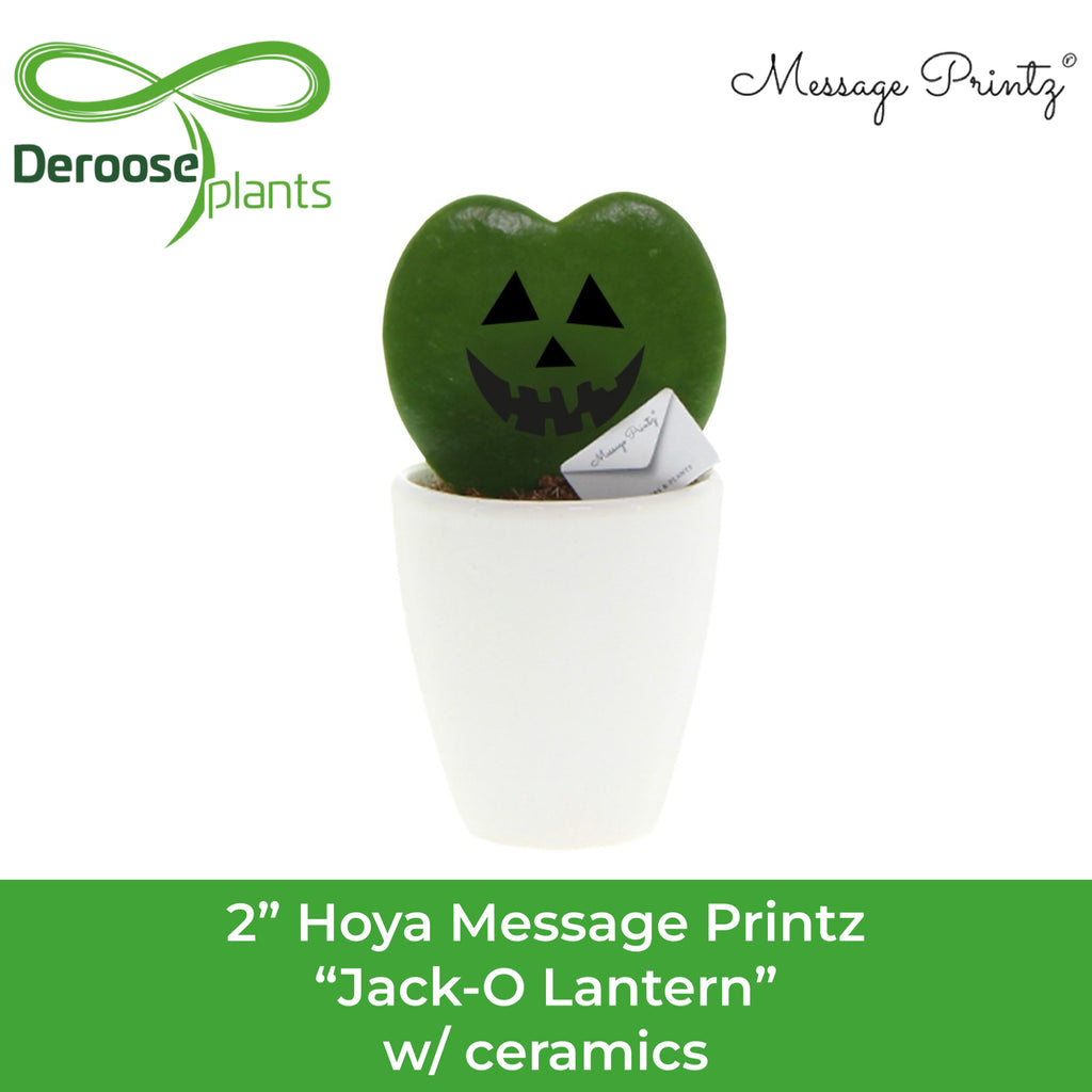 2" Hoya Message Printz Jack-O Lantern