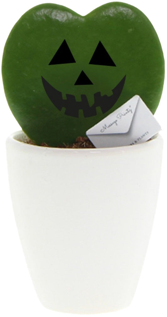 2" Hoya Message Printz Jack-O Lantern