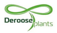 Deroose Plants logo